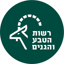 רטג